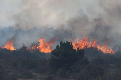 Bursa'da orman yangını tedbirleri; Mangal yasaklandı