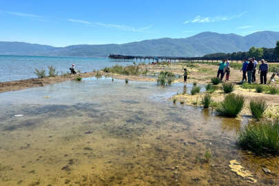 'İznik Gölü'nün Orhangazi sahili bataklığa dönüştü'