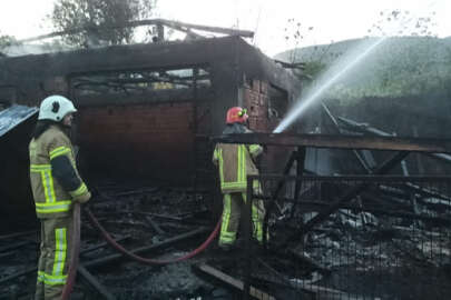 Ağılda yangın; Çok sayıda tavuk telef oldu