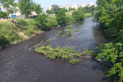 Marmara Yaşasın Kervanı Bursa’da