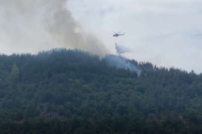 Bursa'da orman yangını kontrol altına alındı