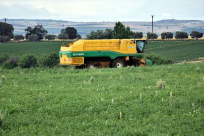 Bursa'da ekim alanı artan bezelyede 40 bin ton rekolte bekleniyor