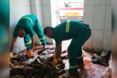 Bursa'da sağlıksız koşullarda depolanan 3,5 ton sakatat imha edildi