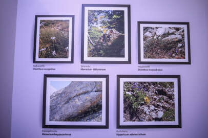 Uludağ'da yetişen endemik türler fotoğraf sergisinde