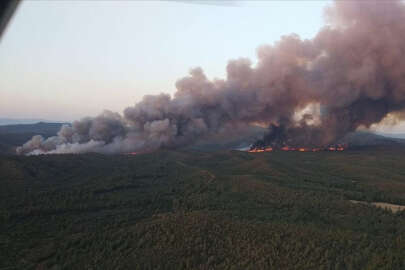 Marmaris'te orman yangını; Hızla büyüdü