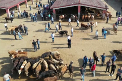 Doğu Anadolu'dan büyükşehirlere kurbanlık sevkiyatı başladı