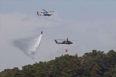 Tarım ve Orman Bakanı Kirişci: Yangın kontrol altına alındı