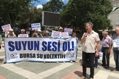 Bursa Su Kolektifi, İznik Gölü'ne zarar veren faaliyetleri inceledi