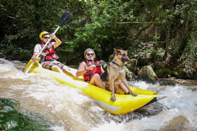 Leo, Bursa'daki rafting turlarının maskotu oldu