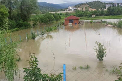 Sinop'ta sular altında kalan tarım arazileri zarar gördü