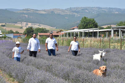 Bursalı çift yıllardır atıl duran ata toprağını lavantayla ekonomiye kazandırdı