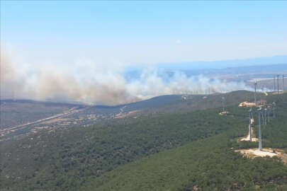 Çeşme'de yangın; Otoyol araç trafiğine kapatıldı