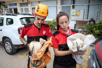 Cami kubbesindeki yuvadan düşen leylek yavruları kurtarıldı