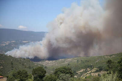 Balıkesir'de orman yangını; Havadan ve karadan müdahale ediliyor