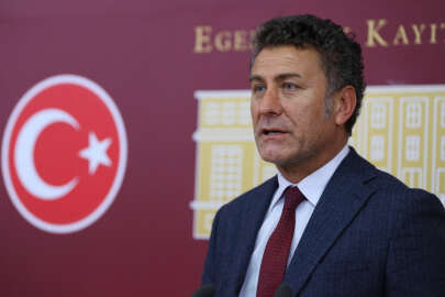 Sarıbal: Tırtıl, ayçiçeği üretimini tehdit ediyor