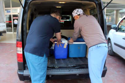 Kazada hayatını kaybeden gencin organları 3 hastaya umut olacak