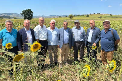 CHP'li Aygun: Çiftçi yardım bekliyor, Tarım Bakanı fantezi peşinde