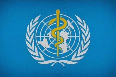 DSÖ, maymun çiçeği salgınını 'küresel acil durum' ilan etti