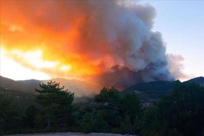 Kütahya ve Manisa'da orman yangınlarına müdahale ediliyor