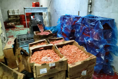 Bursa'da çok miktarda bayatlamış tavuk ele geçirildi