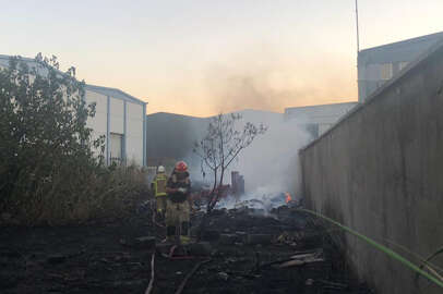 Gemlik'te zeytinlik yakınında yangın çıkardığı iddia edilen kişi yakalandı