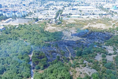 Bursa'da çıkan orman yangınları söndürüldü