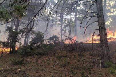 Keles'te ormanlık alanda çıkan yangın söndürüldü