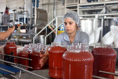 Domates ihracatı Bakanlık iznine bağlandı