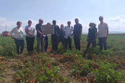 Bursa'da ekokırım: Toprak üreten fabrika var mı?