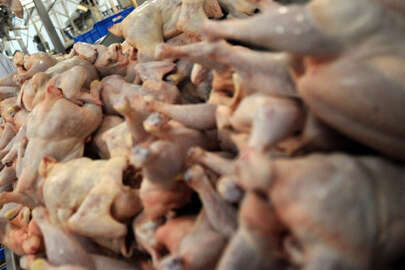 Osmangazi'de depoya baskın; 1,5 ton beyaz et imha edildi