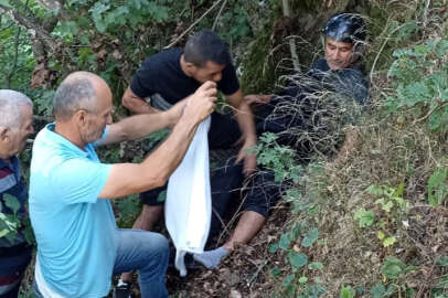 Bursa'da ağaca takılan 2 paraşütçü ölümden döndü