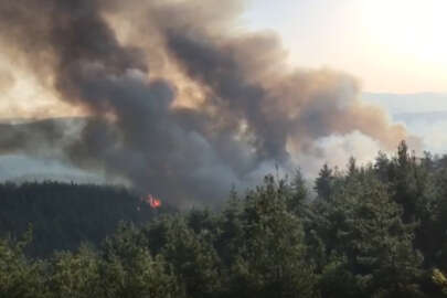 Orhaneli'de iki ayrı bölgede orman yangını
