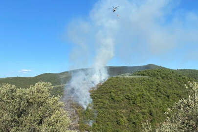 İznik'te çıkan orman yangını kontrol altına alındı