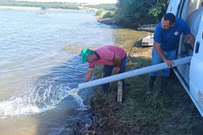 Marmara Bölgesi'ndeki göl ve göletlere 9 milyon sazan yavrusu salındı