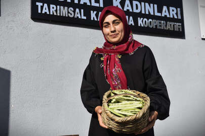 Ata tohumuyla yetiştirdikleri 'Çongara fasulyesi'ni coğrafi işaretle tescillemek istiyorlar