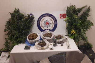 Bursa'da evinde kenevir yetiştiren zanlı tutuklandı