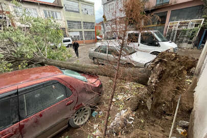 Bursa'da kuvvetli lodos; Ağaç araçların üzerine devrildi