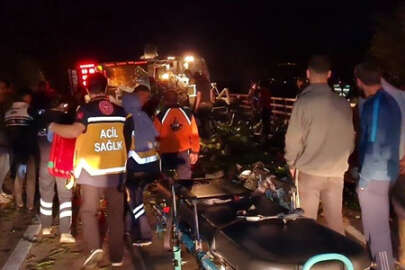 İznik'te ölümlü trafik kazasına karışan 2 sürücü tutuklandı