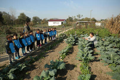 Anaokulu öğrencileri ekolojik tarımla tanıştı
