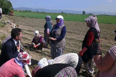 Sarıbal: Sömürü çarkının dişlileri kadın çiftçileri eziyor