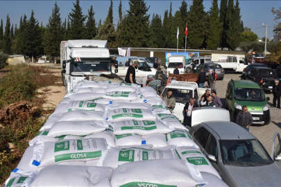 Bursa'da atıl tarım arazileri buğday tohumuyla ekonomiye kazandırılıyor