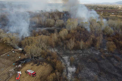 Nilüfer'de ağaçlık alanda yangın çıktı