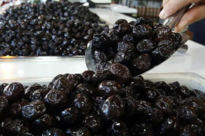 Marmarabirlik ortaklarına 205 milyon lira ödeme yapacak