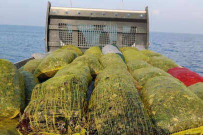 Bursa'da 123 çuval midye denize geri bırakıldı