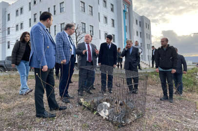 Yalova Üniversitesi yerleşkesine 25 tavşan ile 25 sülün bırakıldı