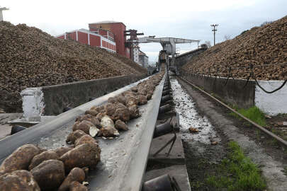 Susurluk Şeker Fabrikası kapasite artırımıyla işçiye de çiftçiye de kazandırdı