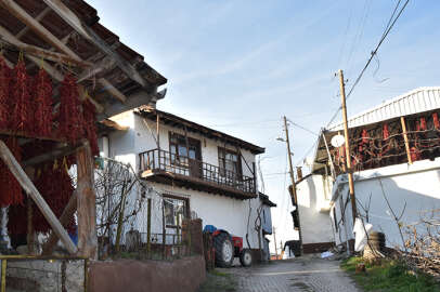 Köydeki evler fotoğraf tutkunları için beyaza boyandı