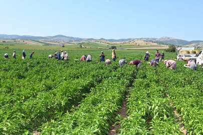 Yenişehir Biberi’ne de tescil belgesi