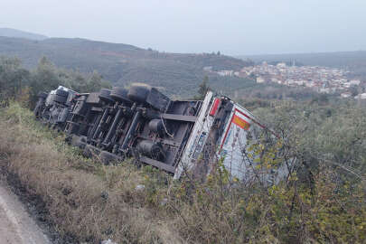 Zeytinliğe devrilen tırın sürücüsü yaralandı