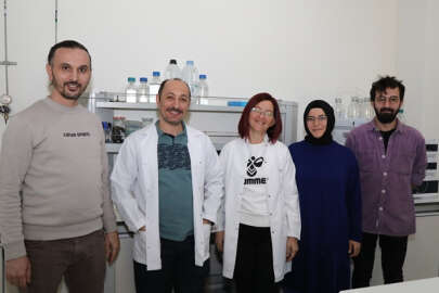 BTÜ'lü bilim insanları, karidesin raf ömrünü uzatacak